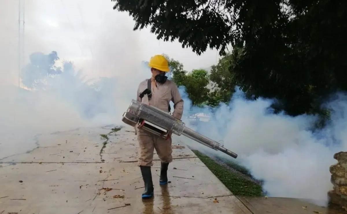 Estos tres municipios de Veracruz reportan los mayores casos de dengue en el estado