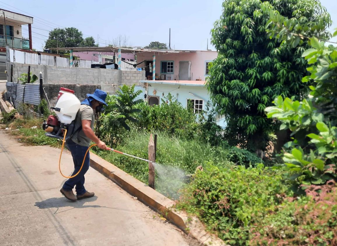 Padres de familia en Agua Dulce preocupados por aumento en casos de dengue confirmados