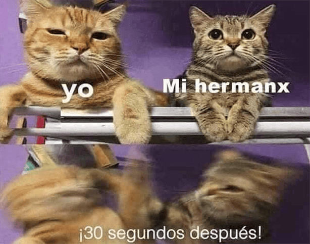 Estos son los mejores memes para celebrar el Día del Hermano 