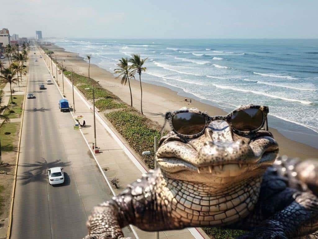 Sorprende presencia de cocodrilo en la playa de Coatzacoalcos ¿pueden vivir en el mar? | VIDEO