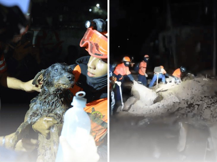 ¡Un milagro! rescatan a perro atrapado en deslave de vivienda en Xalapa 