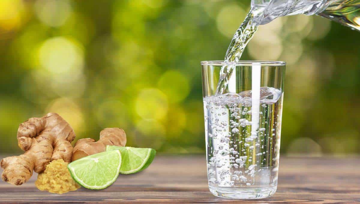 ¿Qué tan buena es el agua de jengibre con limón para el cuerpo?