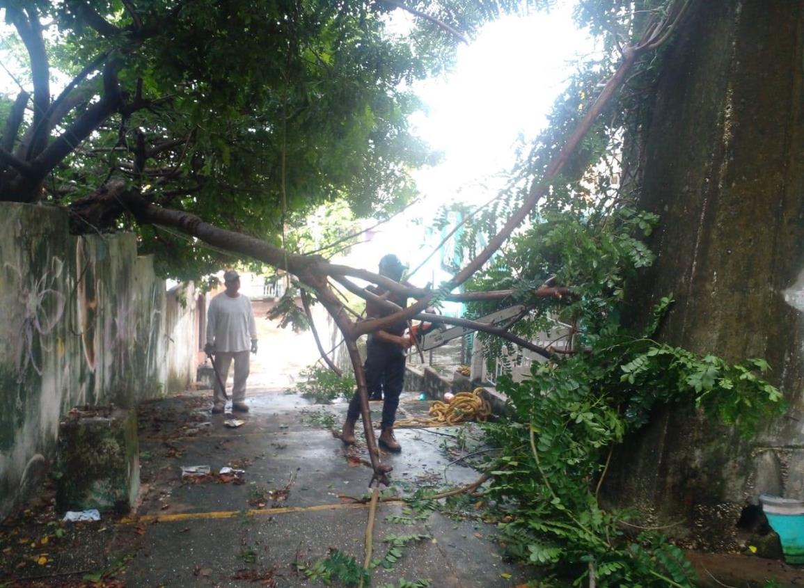 Intensa tormenta causó estragos en Nanchital