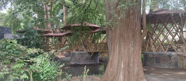 Planta de tratamiento del Alto Río Blanco va bastante bien: Cuitláhuac García