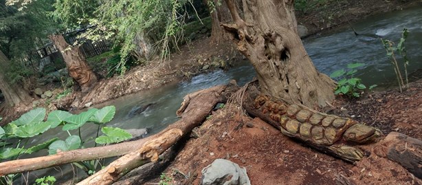 Planta de tratamiento del Alto Río Blanco va bastante bien: Cuitláhuac García