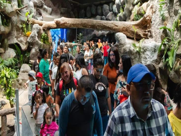 ¿Cuánto cuesta la entrada al Acuario de Veracruz con la tarjeta del INAPAM?