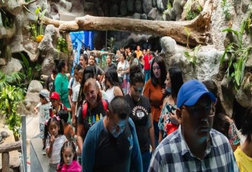 ¿Cuánto cuesta la entrada al Acuario de Veracruz con la tarjeta del INAPAM?