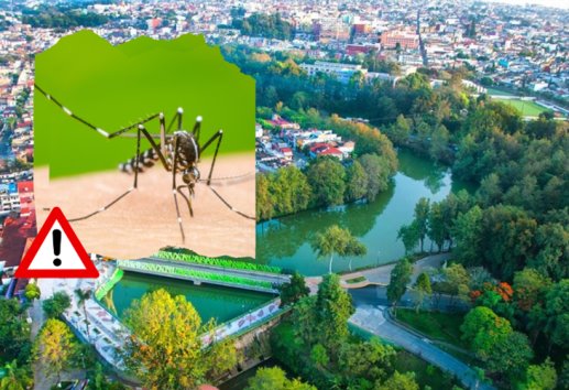 Crece número de casos positivos de dengue en Xalapa: Salud 