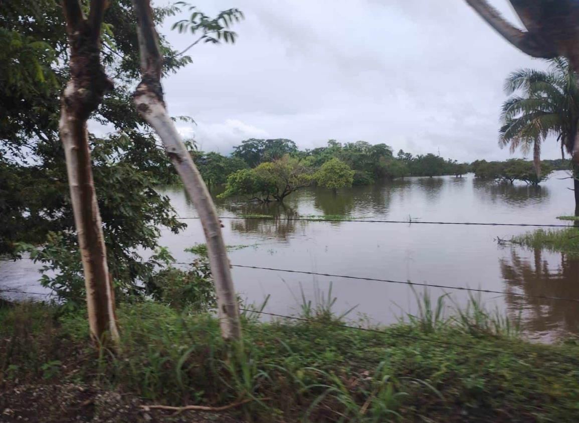 Zona del Cerro de Nanchital en alerta por posible desbordamiento del arroyo Mancuernillón