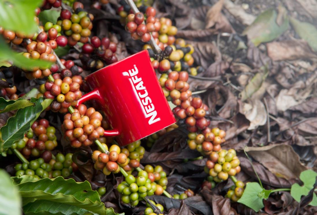 Nescafé continúa impulsando a las nuevas generaciones en Veracruz