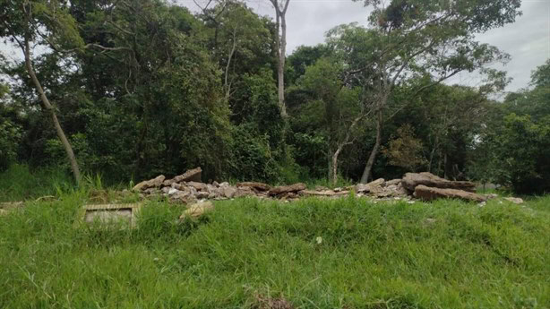 Destruyen emblemática escultura de serpiente Coatl en el Parque Natura de Xalapa