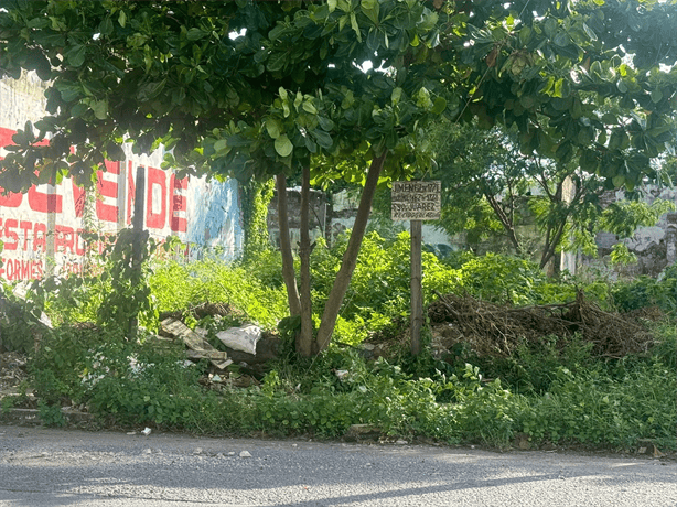 Vecinos del Centro de Veracruz denuncian terreno baldío convertido en basurero