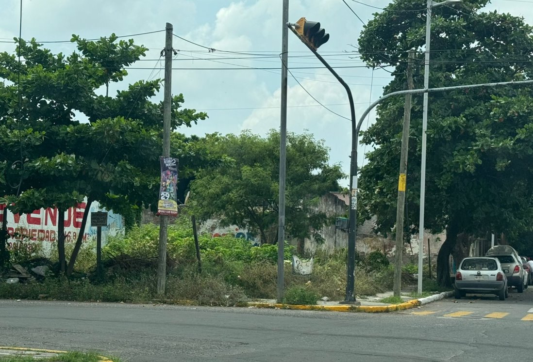 Vecinos del Centro de Veracruz denuncian terreno baldío convertido en basurero