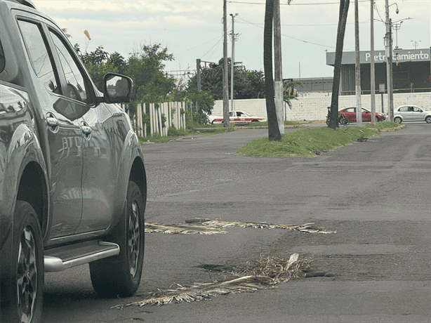 Vecinos de la calle Miguel Ángel de Quevedo exigen reparación de baches que afectan vialidad