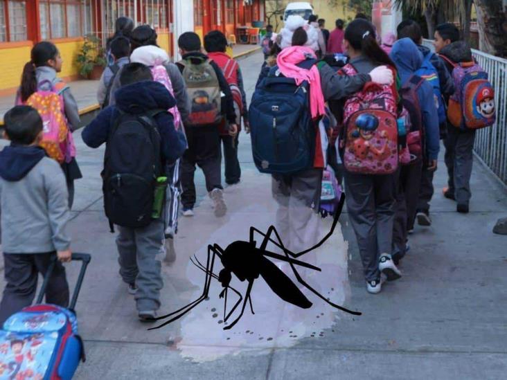 ¿Ausentismo en escuelas de Veracruz por casos de dengue? SEV responde