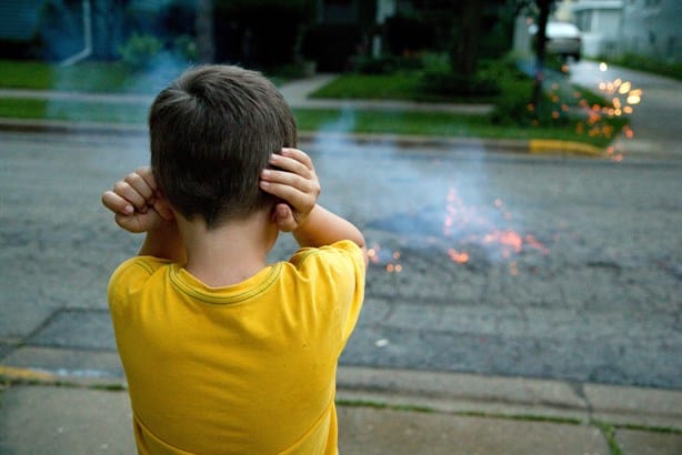 Pirotecnia en fiestas patrias: ¿cómo proteger a mascotas y niños con autismo? 