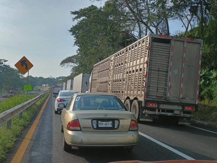 Constantes filas kilométricas en la Costera del Golfo por retén afectan a miles de usuarios al día