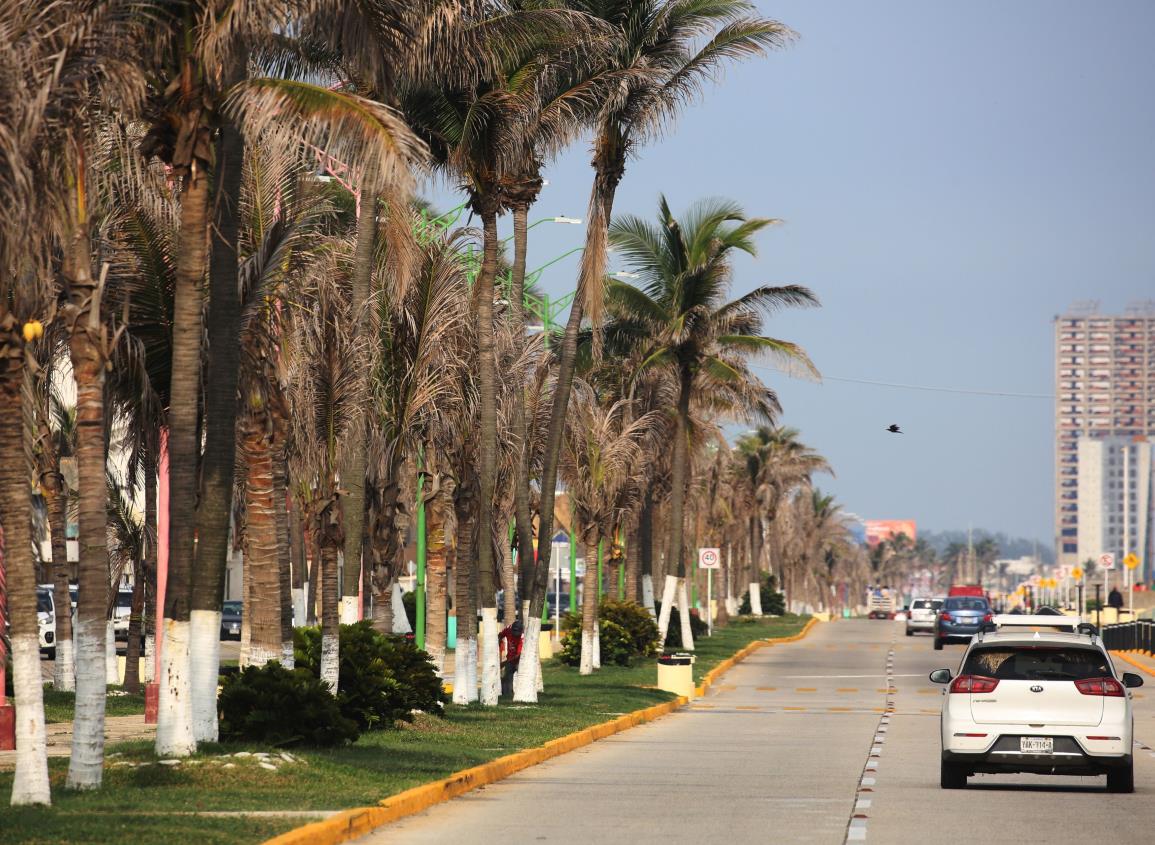 Lluvias no han contrarrestado sequía en Veracruz; estos son los municipios más afectados