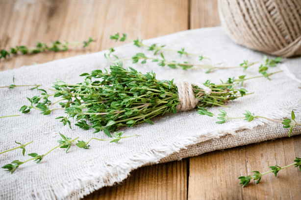 ¿Problemas de circulación? El tomillo es la solución natural que necesitas