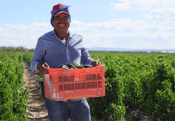 4 ingredientes ancestrales de México que forman parte de platillos modernos