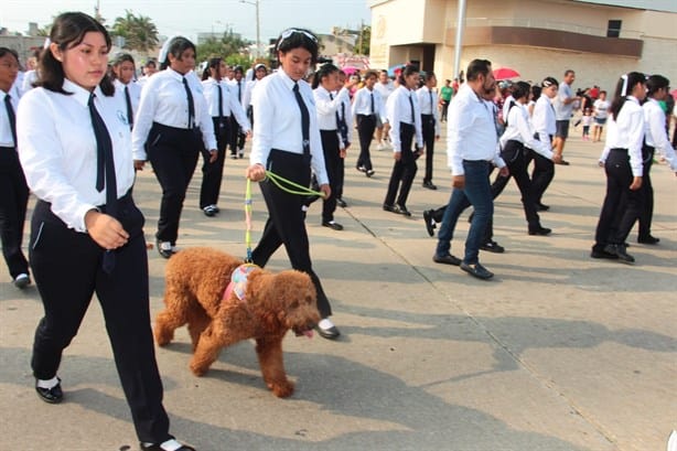 Desfile del 16 de Septiembre: con Fuerzas Armadas y binomios caninos, así se lleva a cabo en Coatzacoalcos | VIDEO