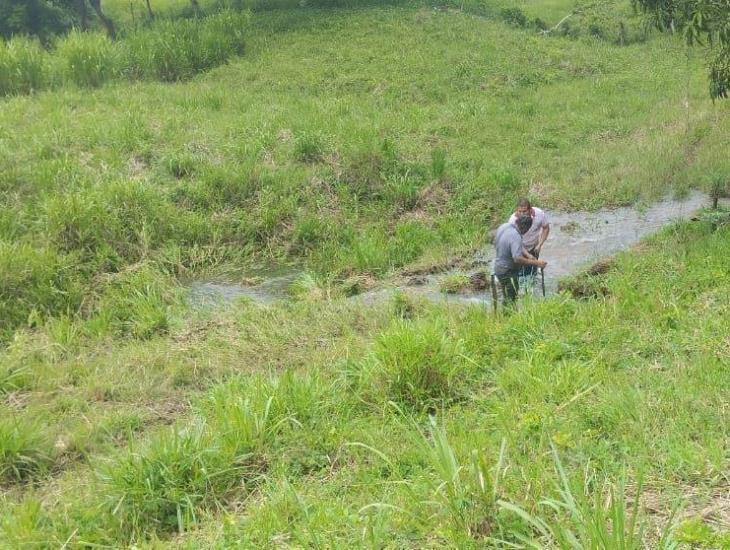 Agudiza escasez de agua en Acayucan y municipios cercanos ¿a qué se debe? | VIDEO