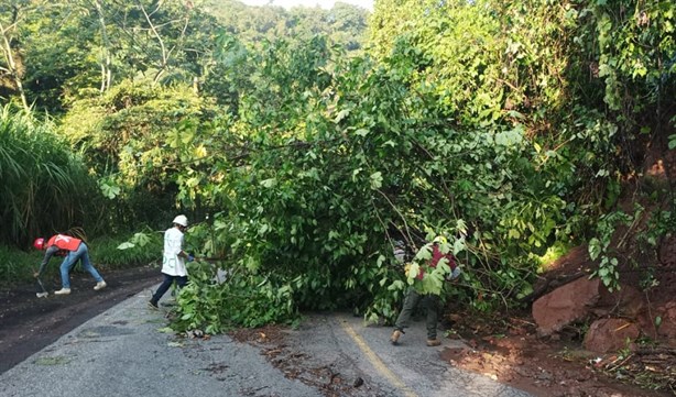 Bloqueada la carretera hacia Teocelo; rutas alternas, saturadas