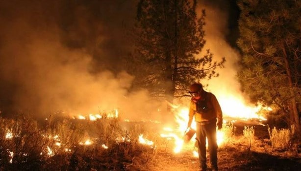 Así avanza estudio para combatir incendios forestales con satélites en México