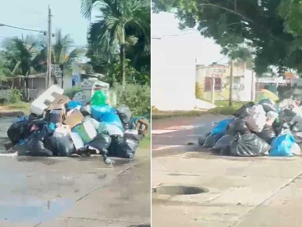 Estas colonias de Coatzacoalcos acumulan toneladas de basura; camión no la recolectó | VIDEO