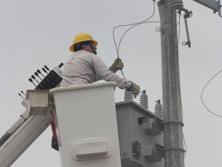 CFE realiza trabajos de mantenimiento en la red eléctrica de Agua Dulce