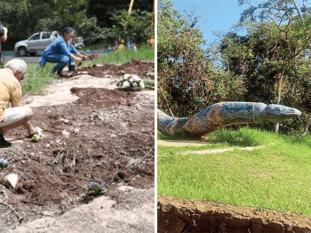 Con rituales, artistas despiden a Coatl la serpiente emplumada del Parque Natura de Xalapa