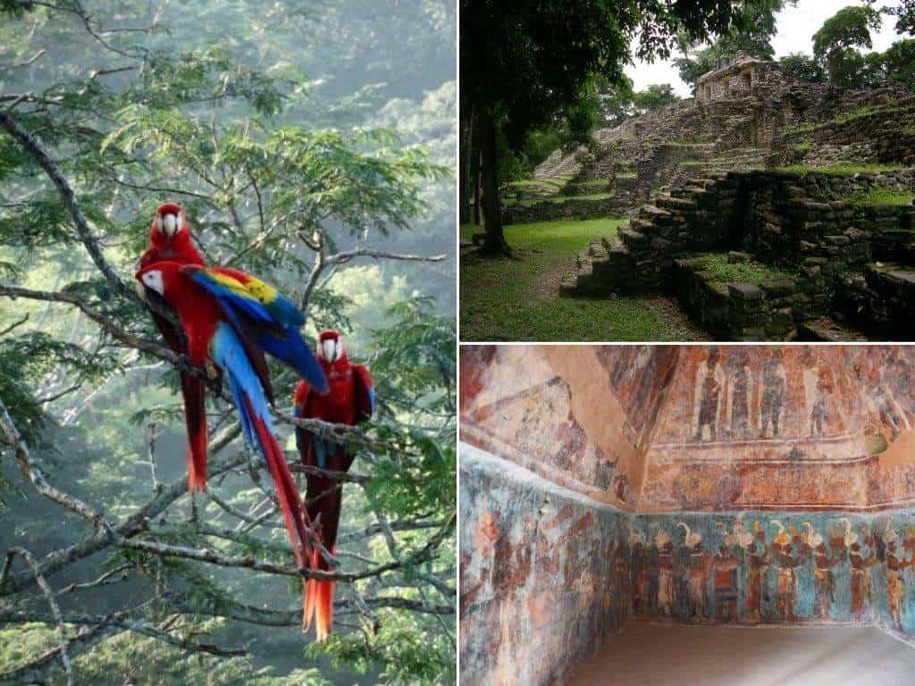 Tren Interoceánico: estos son los cinco lugares que debes visitar en Palenque, Chiapas