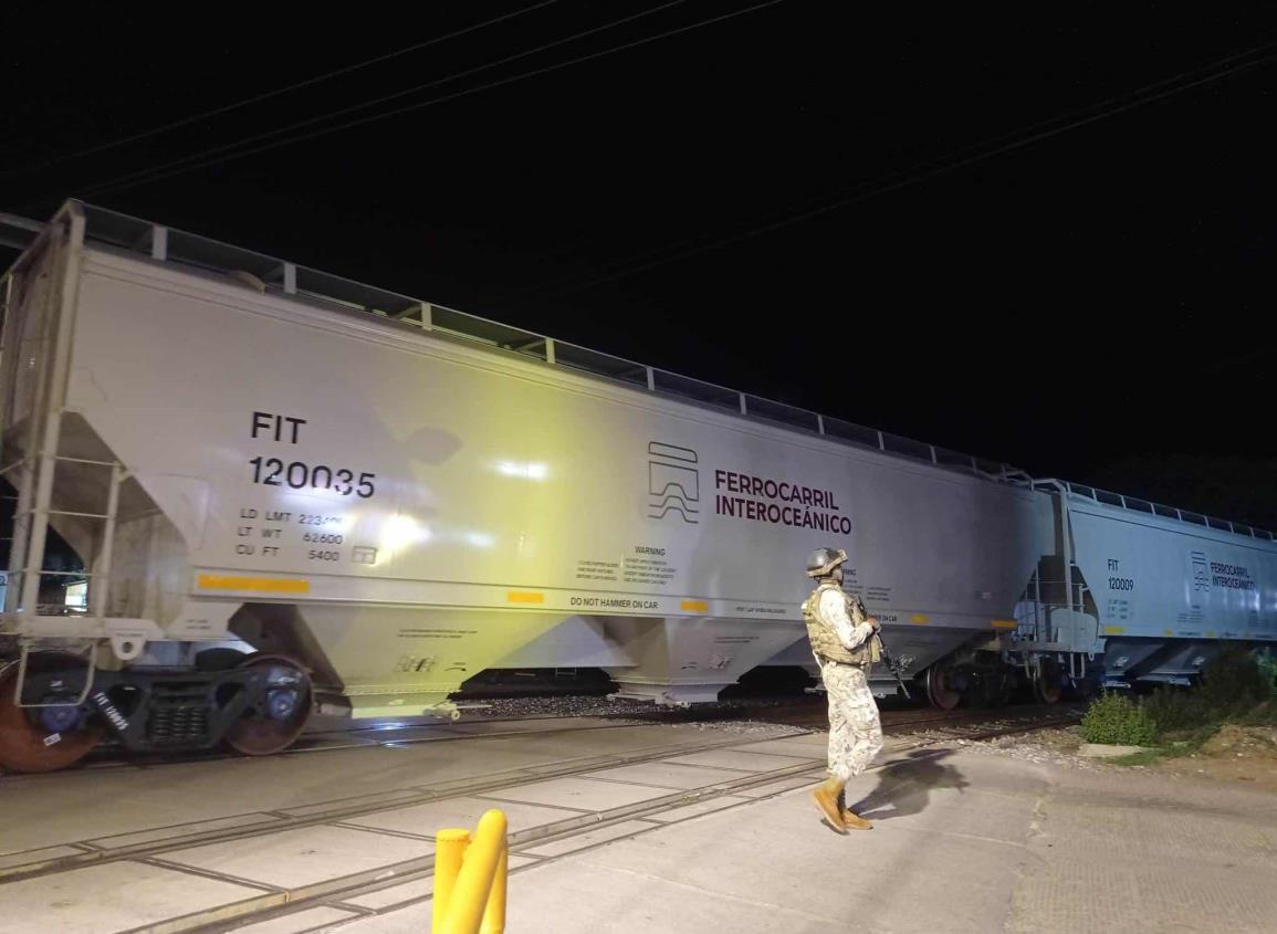 Tren Interoceánico: servicio de carga de la Línea Z cumple un año ¿cuántos toneladas ha movido?