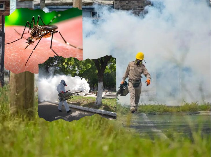 En Xalapa, hay desconfianza de familias para fumigar sus viviendas contra el dengue: Salud