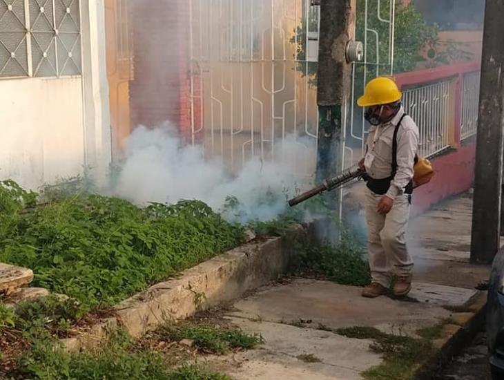 Minatitlan se suma a la Jornada Nacional de Lucha contra el Dengue