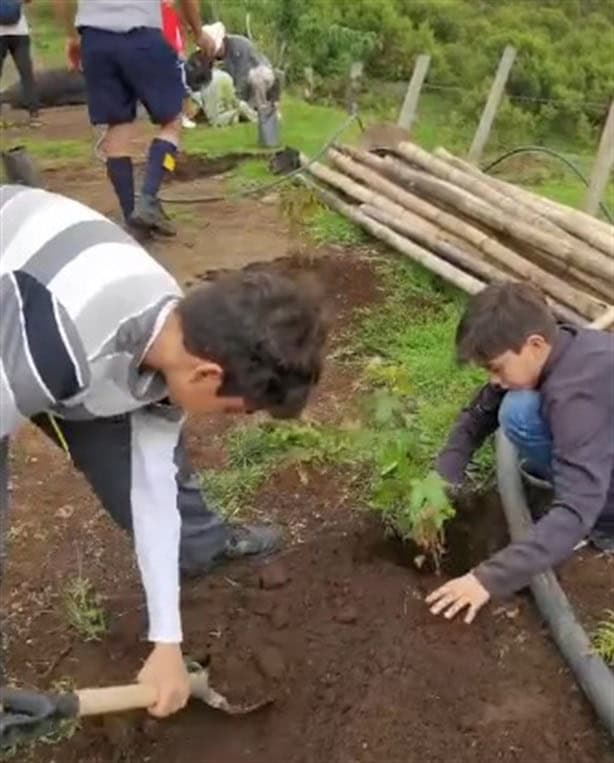 Reforestan con 3 mil árboles en zonas siniestradas por incendios en Xico