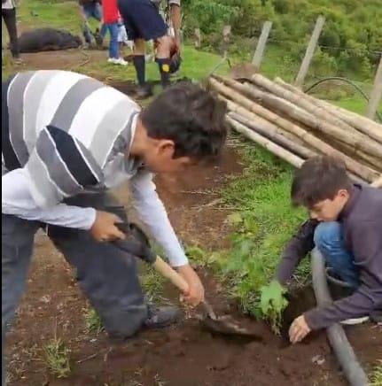 Reforestan con 3 mil árboles en zonas siniestradas por incendios en Xico