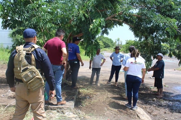 Autoridades de Medellín podrían multar al dueño de la yegua Mili tras su rescate en Puente Moreno