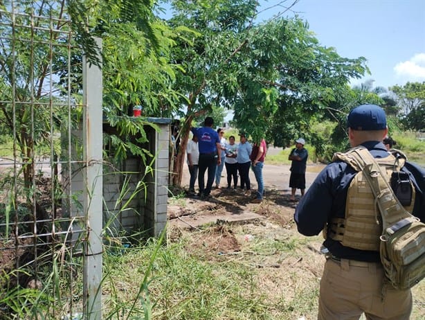 Autoridades de Medellín podrían multar al dueño de la yegua Mili tras su rescate en Puente Moreno