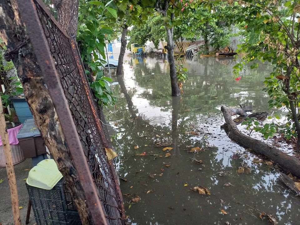 Fuertes lluvias provocan afectaciones en Cosamaloapan y Carlos A. Carrillo; activan protocolos de emergencia