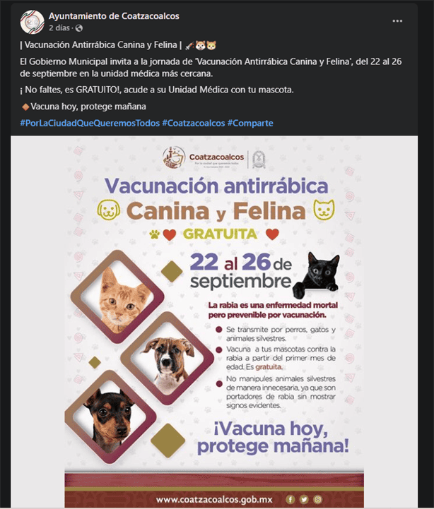 Vacunación antirrábica canina y felina: ¿cuándo y dónde en Coatzacoalcos?