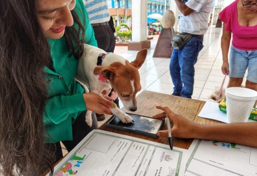 Registro Civil de Veracruz registra hasta 3 mascotas por semana