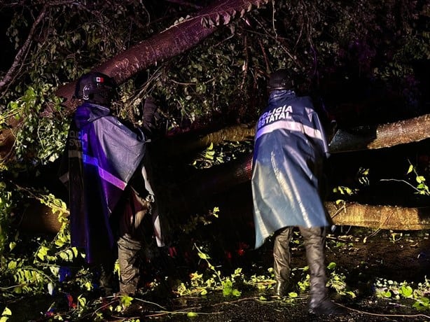 Desactivan alerta en Veracruz por el huracán John; ¿habrá lluvias fuertes?