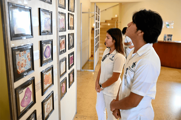 Veracruz es sede del Congreso Nacional de Anatomía, con ponencias y concursos para estudiantes de medicina