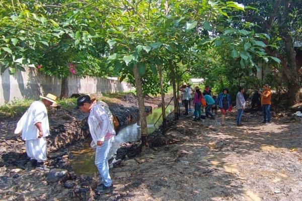 Derrame de hidrocarburo en Papantla causa muerte de animales nativos y de compañía
