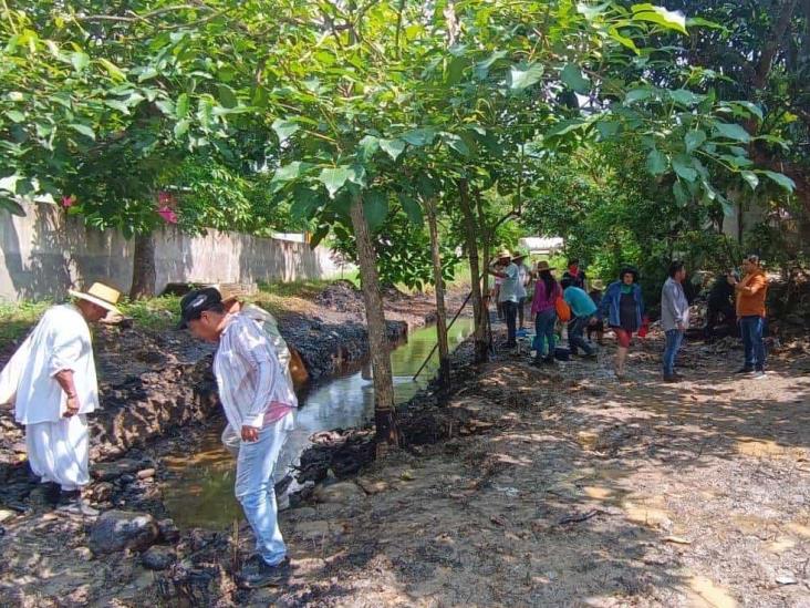 Derrame de hidrocarburo en Papantla causa muerte de animales nativos y de compañía