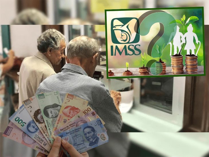 Pensionados IMSS: ¿Quiénes NO recibirán pago de aguinaldo en 2024?