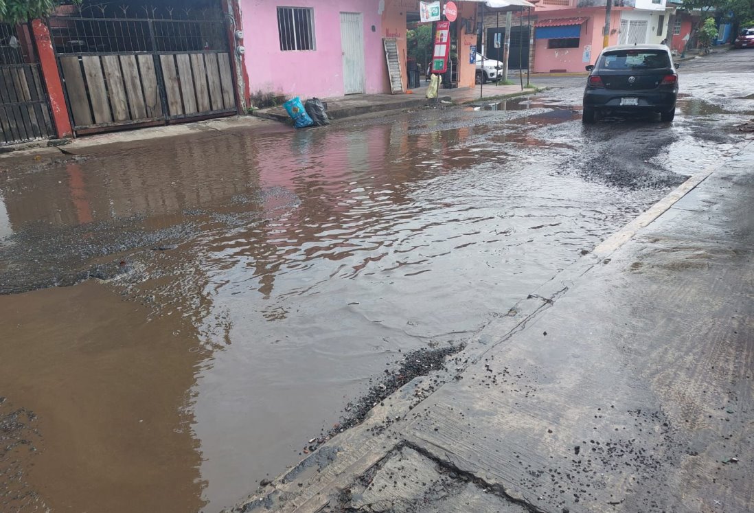 Vecinos de la colonia López Arias en Veracruz piden solución urgente a los socavones