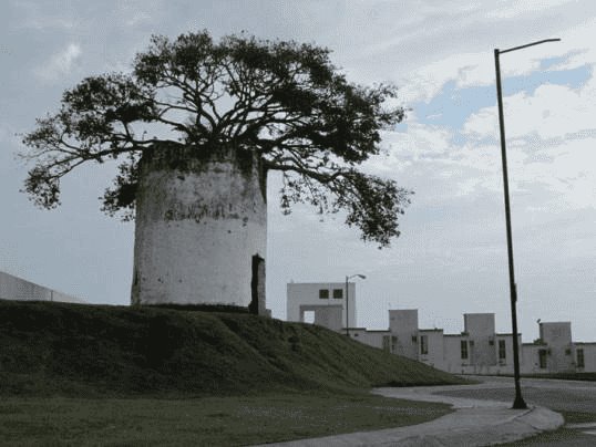 Veracruz alberga uno de los 9 molinos coloniales únicos en América, construido por ingleses