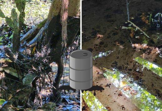 Crece derrame de hidrocarburo al norte de Veracruz; afecta a Papantla y Coatzintla